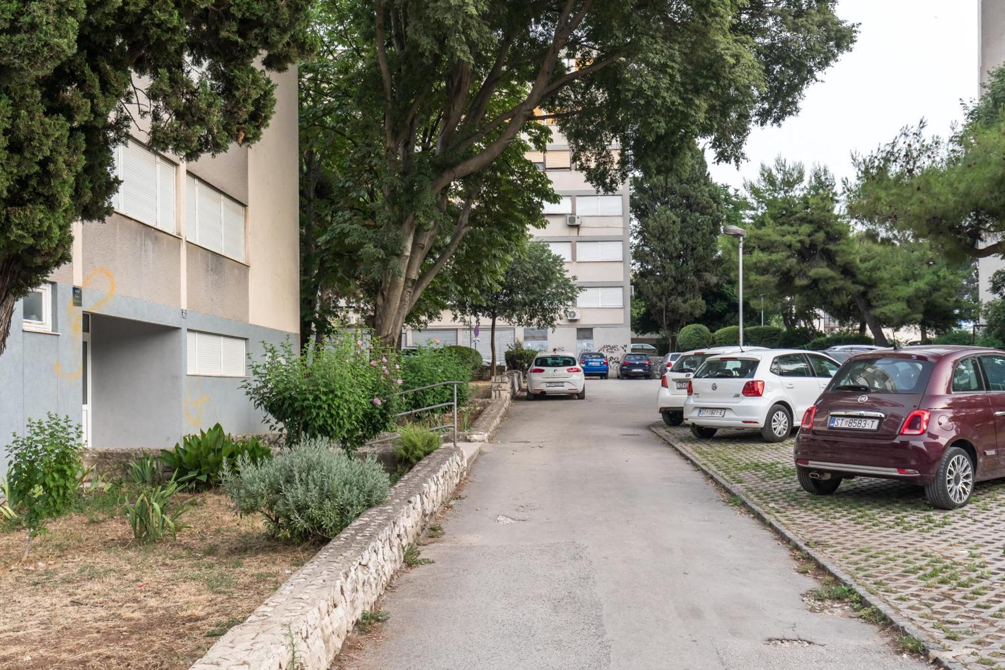 Ultimo * Split